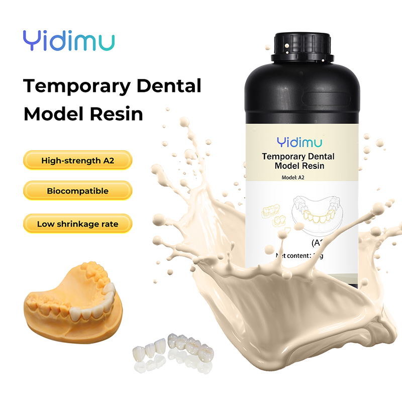 Dental presentation model