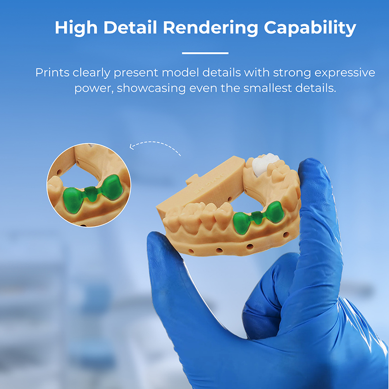 Printed dental casting models prepared for cleaning and post-curing